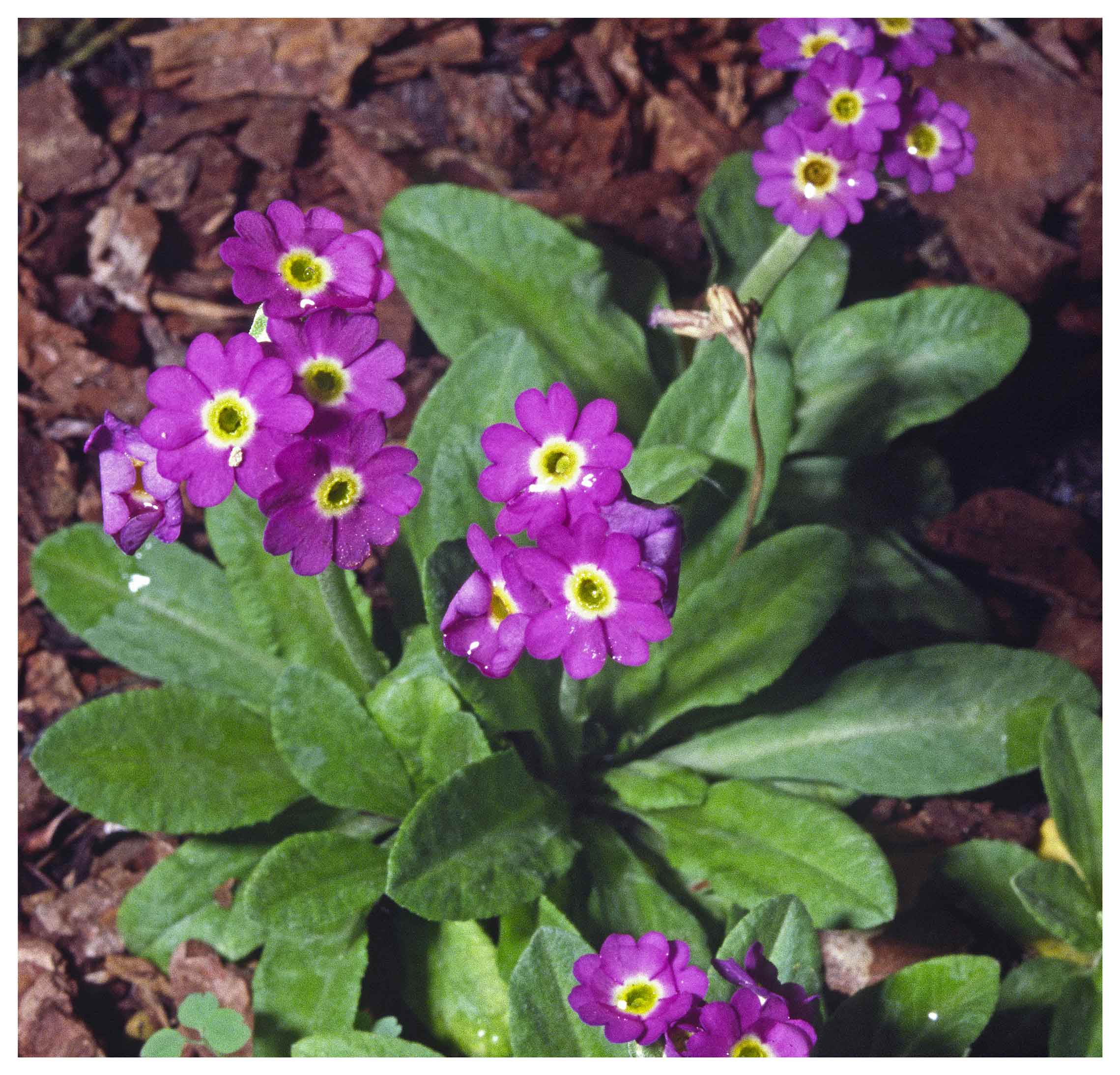 Next slide